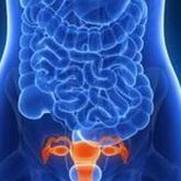 hpv查哪些项目，HPV阳性能做试管吗？