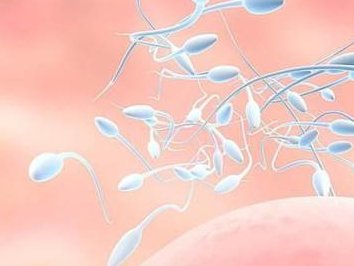 成都做三代试管婴儿费用大约要多少钱？